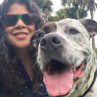 Sitter Profile Image: Lourie L.