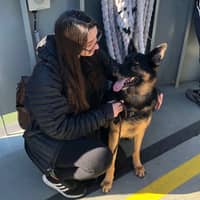 Sitter Profile Image: Kieran & Nicole B.