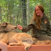 Sitter Profile Image: Hannah T.