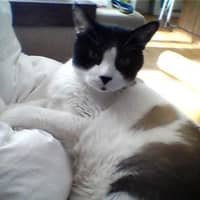 Sitter Profile Image: Michael B.