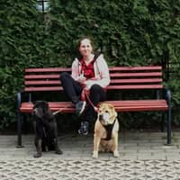 Sitter Profile Image: Daria I.