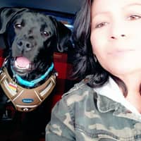 Sitter Profile Image: Tracy G.