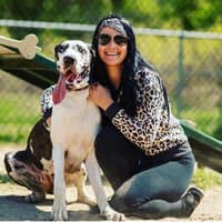 Sitter Profile Image: Amanda V.