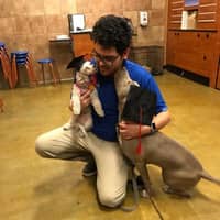 Sitter Profile Image: Rudy R.