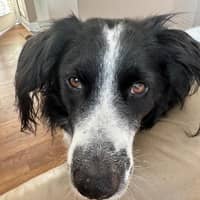 Sitter Profile Image: Joy W.