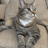 Sitter Profile Image: Claudia G.