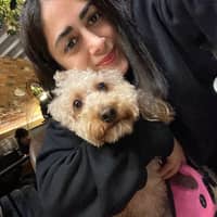 Immagine del profilo del sitter: Shabnam J.