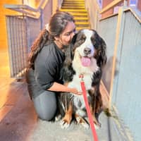 Sitter Profile Image: Anusha P.