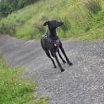 Sitter Profile Image: Angela H.