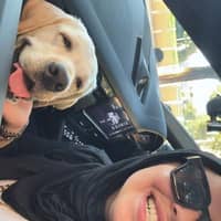 Photo de profil du pet sitter : Meriem D.
