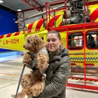 Profilbilde av hundepasser: Kristianne F.