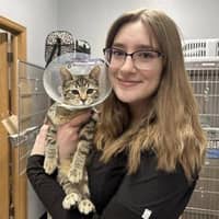 Sitter Profile Image: Sara D.