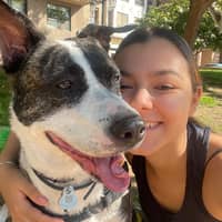 Foto del cuidador: rafaelly F.