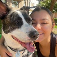 Foto del cuidador: rafaelly F.