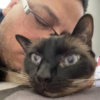 Sitter Profile Image: Jose I.