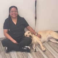 Sitter Profile Image: Mireya H.