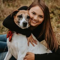 Sitter Profile Image: Abigail C.