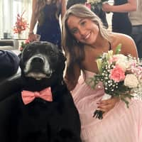 Sitter Profile Image: camryn n.