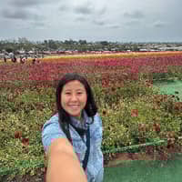 Sitter Profile Image: Jamie C.