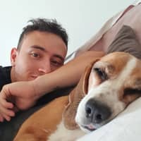 Photo de profil du pet sitter : Serge L.