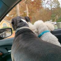 Sitter Profile Image: Mary R.