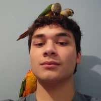 Sitter Profile Image: Donald L.