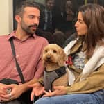 Sitter Profile Image: Iosif D.