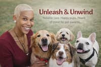 Sitter Profile Image: Alannah H.