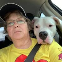 Sitter Profile Image: Peggy B.