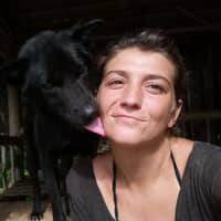 Immagine del profilo del sitter: Francesca P.