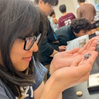 Sitter Profile Image: XingYuan S.