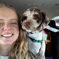 Sitter Profile Image: Aysha H.