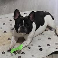 Sitter Profile Image: shanna k.