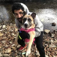 Sitter Profile Image: Bryan M.