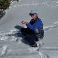 Sitter Profile Image: Emilly D.