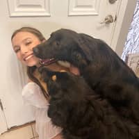 Sitter Profile Image: Abby C.