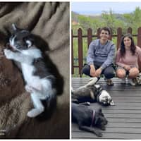 Immagine del profilo del sitter: Elisa D.