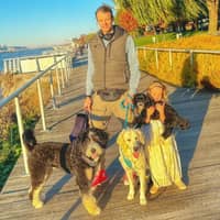 Sitter Profile Image: Stefan P.