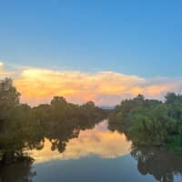 Sitter Profile Image: Coree J.