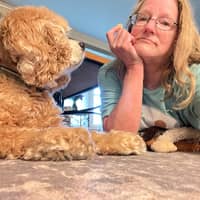 Sitter Profile Image: Lynn E.