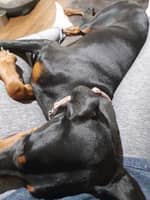 Sitter Profile Image: Kandace S.