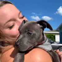 Sitter Profile Image: Hannah C.