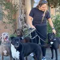 Sitter Profile Image: Rebecca D.