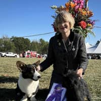 Sitter Profile Image: Kathy S.