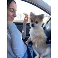 Photo de profil du pet sitter : Ayla B.
