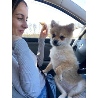 Photo de profil du pet sitter : Ayla B.