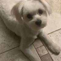 Sitter Profile Image: Bri D.