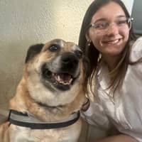 Sitter Profile Image: Mia Y.