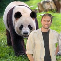 Sitter Profile Image: Ryan P.