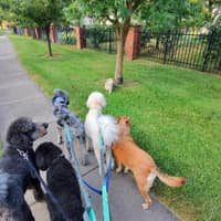 Sitter Profile Image: Dennis L.